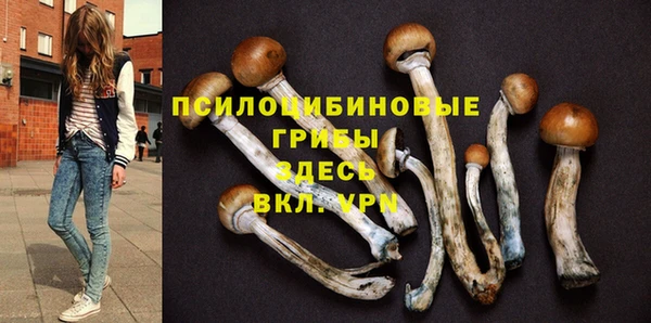 герыч Богородск