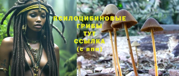 экстази Белокуриха